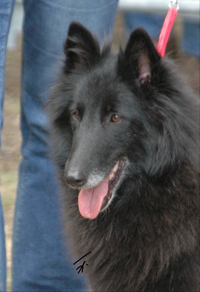 Tzarine des perles noires