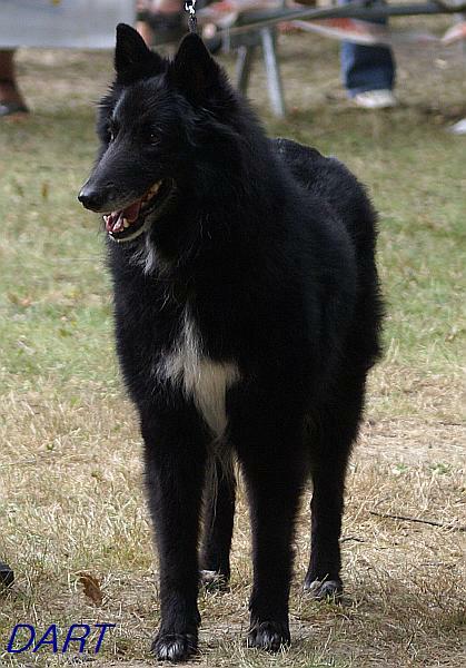 Tosca-belle des perles noires