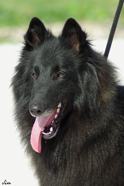 Cazan des perles noires