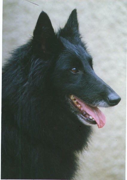 Melba des perles noires