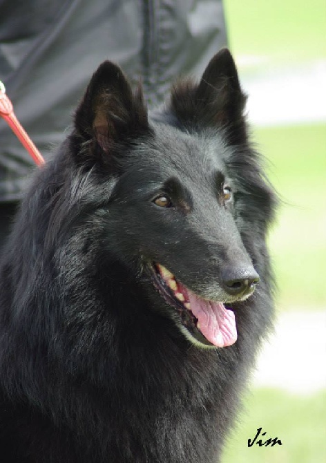 des perles noires - BALI Championne de France