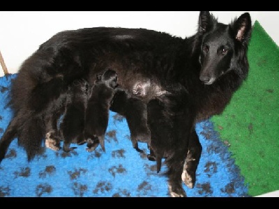 des perles noires - NAISSANCE